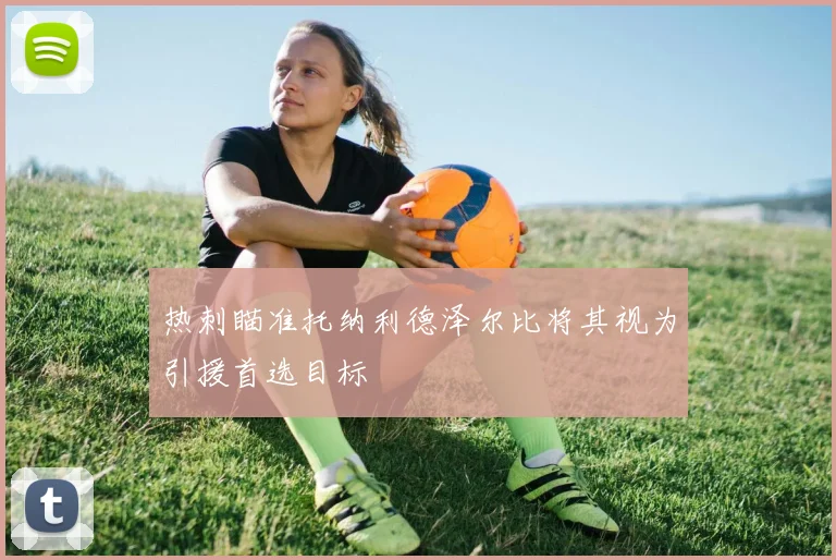 热刺瞄准托纳利德泽尔比将其视为引援首选目标