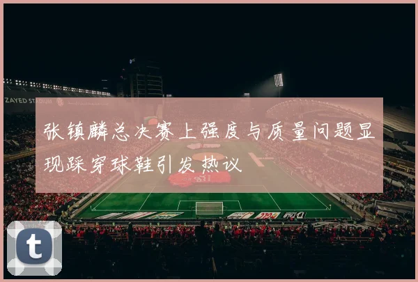 张镇麟总决赛上强度与质量问题显现踩穿球鞋引发热议