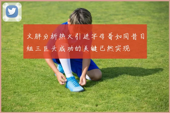 文胖分析热火引进字母哥如同昔日组三巨头成功的关键已然实现