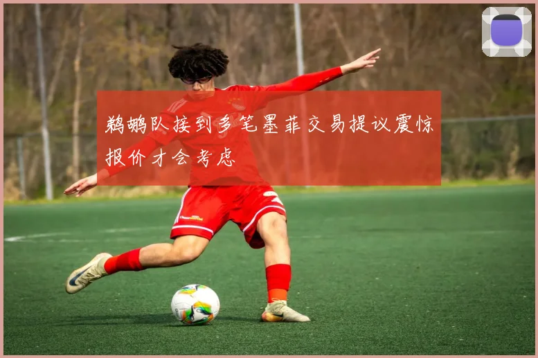 鹈鹕队接到多笔墨菲交易提议震惊报价才会考虑